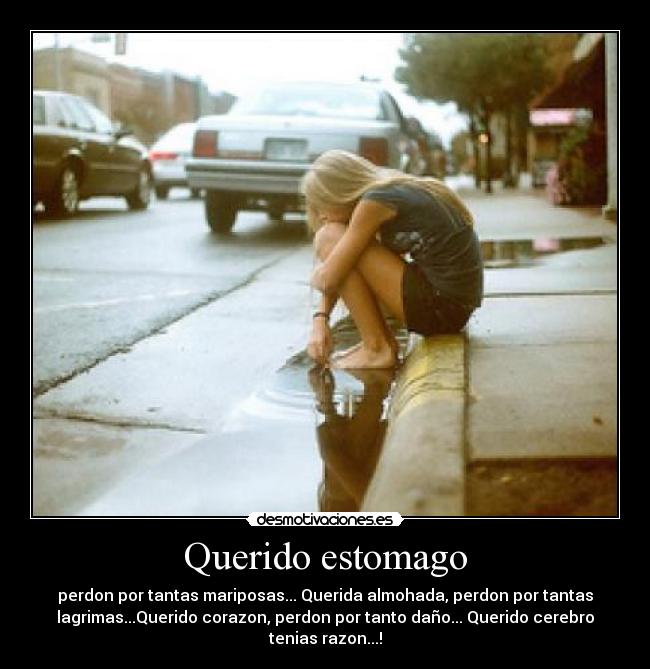 Querido estomago - perdon por tantas mariposas... Querida almohada, perdon por tantas
lagrimas...Querido corazon, perdon por tanto daño... Querido cerebro
tenias razon...!