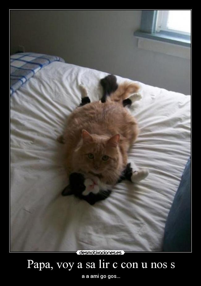 carteles extreme poker face dondr desmotivaciones