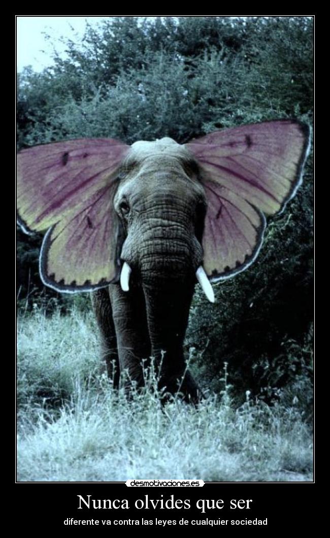Nunca olvides que ser -