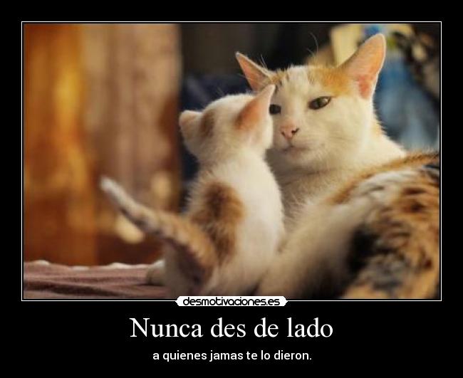 Nunca des de lado - a quienes jamas te lo dieron.