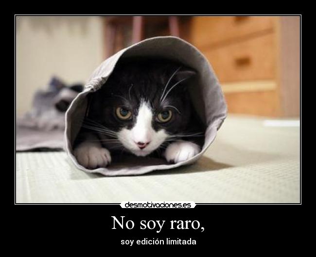 No soy raro, - soy edición limitada