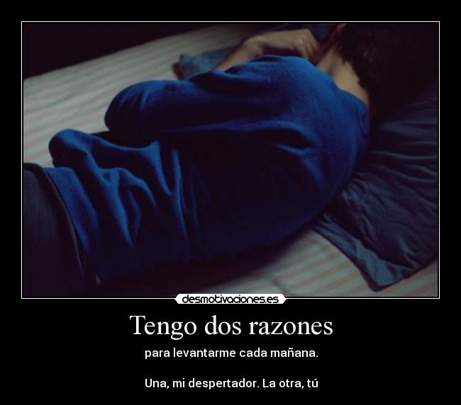 carteles jmr desmotivaciones