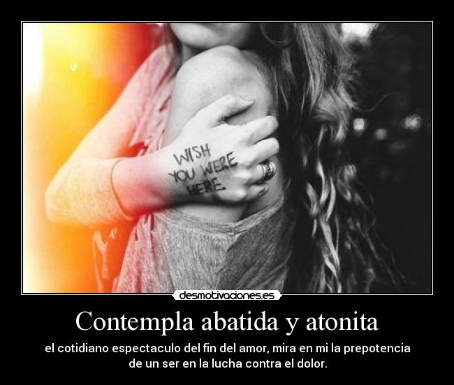 Contempla abatida y atonita - el cotidiano espectaculo del fin del amor, mira en mi la prepotencia
de un ser en la lucha contra el dolor.