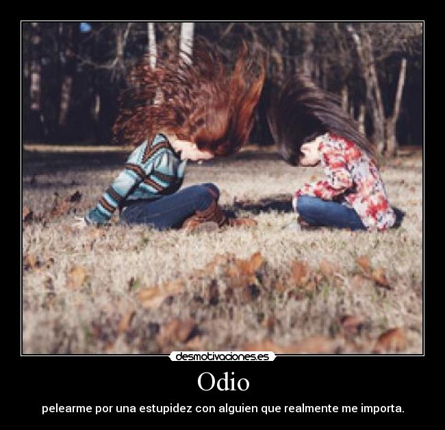 Odio - pelearme por una estupidez con alguien que realmente me importa.