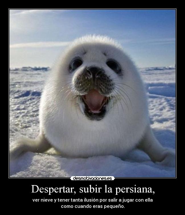 Despertar, subir la persiana, -