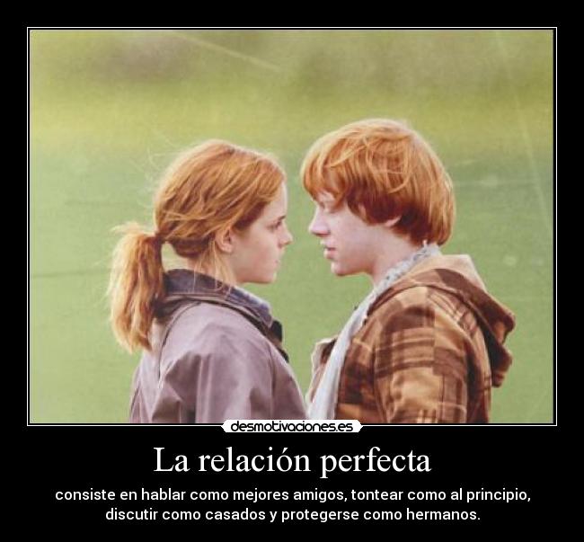 La relación perfecta -