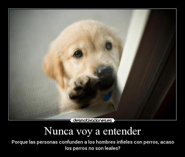 Nunca voy a entender - Porque las personas confunden a los hombres infieles con perros, acaso
los perros no son leales?