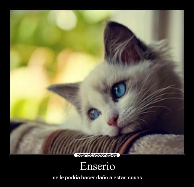 Enserio - se le podria hacer daño a estas cosas