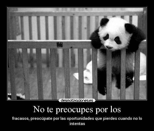 No te preocupes por los - fracasos, preocúpate por las oportunidades que pierdes cuando no lo intentas