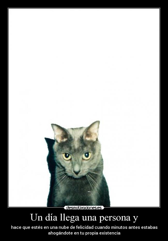 carteles nomiresaqui elclanviral toslocos lilyjames call name bombay voy comer ataquemomentaneo desmotivaciones