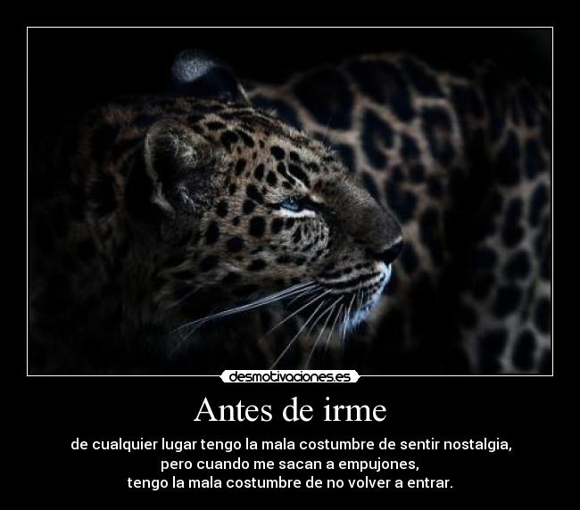 Antes de irme -