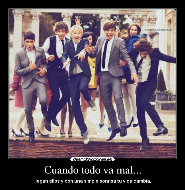 carteles one direction desmotivaciones