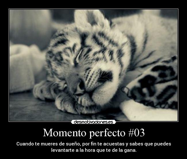 Momento perfecto #03 - 