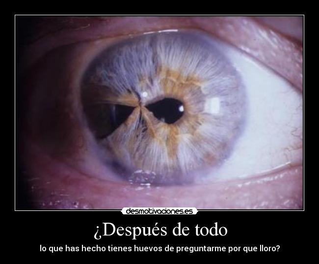 carteles nometientes intruders nunca lloro por que gsta que preguntes por que responder desmotivaciones