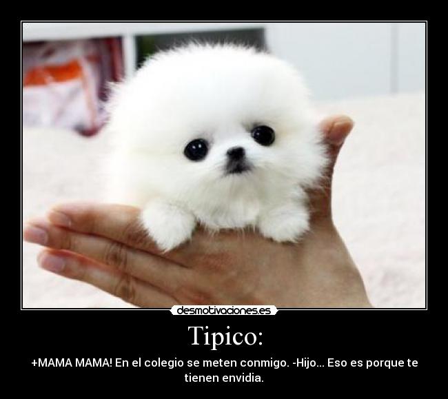 Tipico: - 
