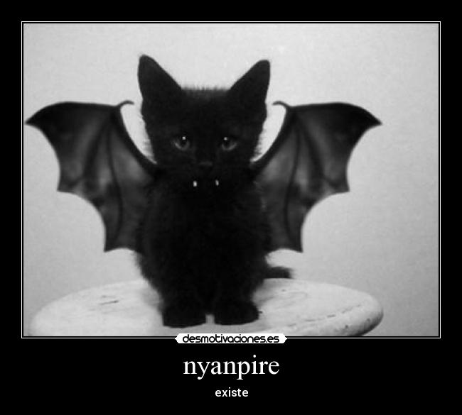 nyanpire - 