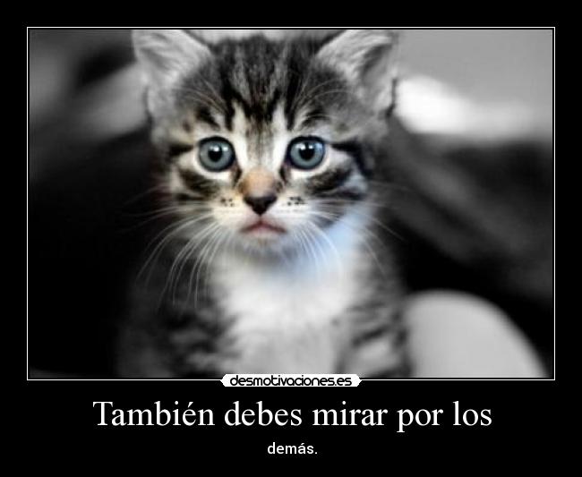 También debes mirar por los -