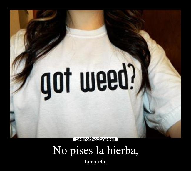 No pises la hierba, - fúmatela.