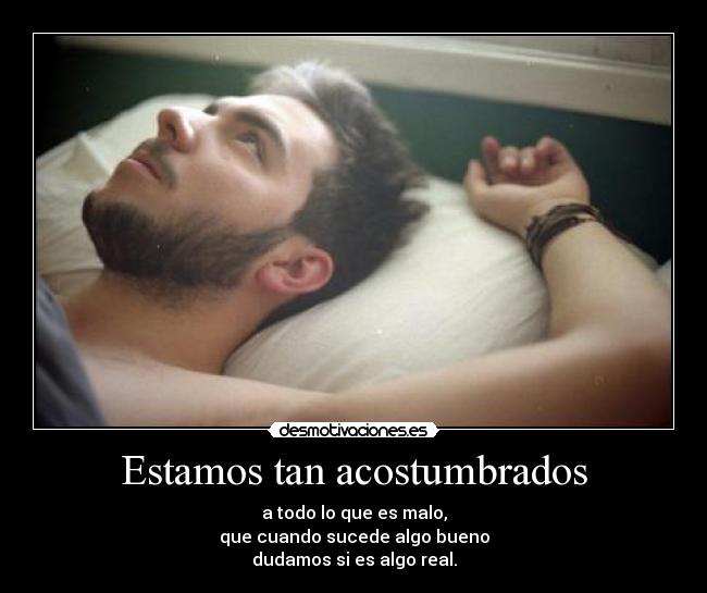 Estamos tan acostumbrados -