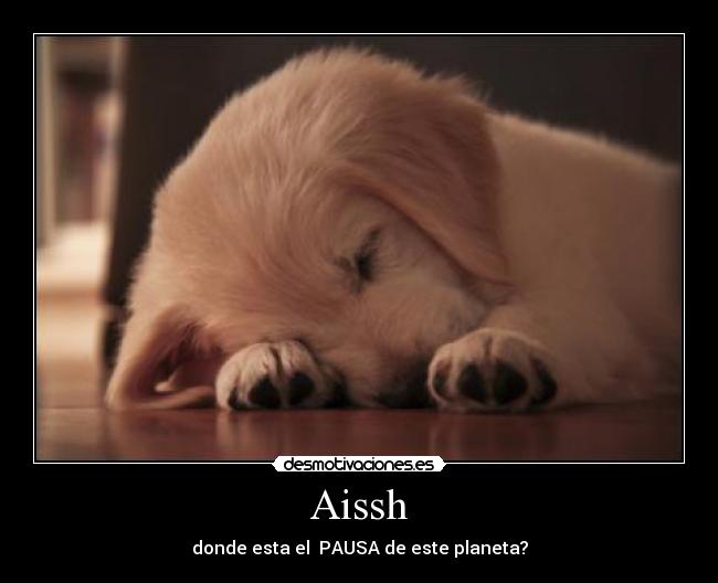 Aissh - donde esta el  PAUSA de este planeta?