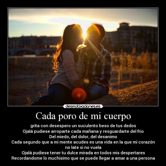 Cada poro de mi cuerpo - grita con desespero un suculento beso de tus dedos
Ojalá pudiese arroparte cada mañana y resguardarte del frio
Del miedo, del dolor, del desanimo
Cada segundo que a mi mente acudes es una vida en la que mi corazón
no late si no vuela
Ojalá pudiese tener tu dulce mirada en todos mis despertares
Recordandome lo muchisimo que se puede llegar a amar a una persona