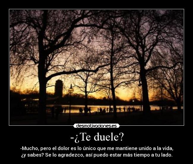 -¿Te duele? - -Mucho, pero el dolor es lo único que me mantiene unido a la vida,
¿y sabes? Se lo agradezco, así puedo estar más tiempo a tu lado.