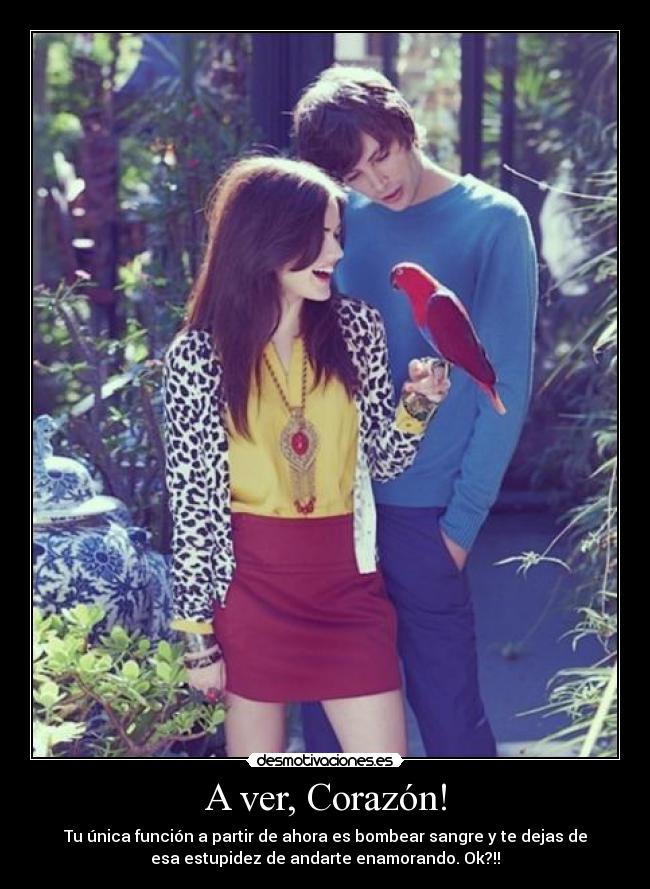 A ver, Corazón! - Tu única función a partir de ahora es bombear sangre y te dejas de
esa estupidez de andarte enamorando. Ok?!!