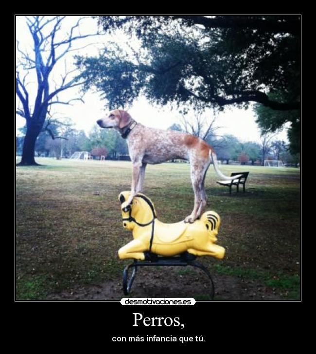 Perros, - 