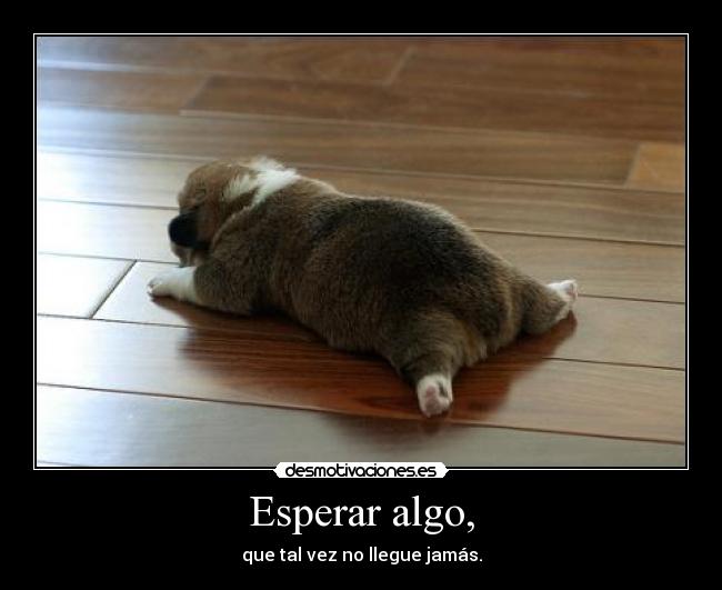 Esperar algo, - que tal vez no llegue jamás.