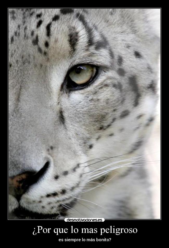¿Por que lo mas peligroso - 