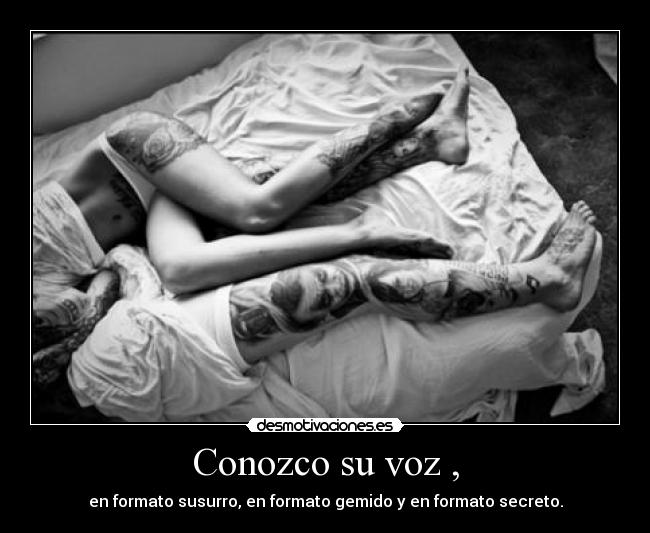 Conozco su voz , - en formato susurro, en formato gemido y en formato secreto.