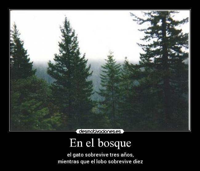 carteles que intento expresar literalmente eso desmotivaciones