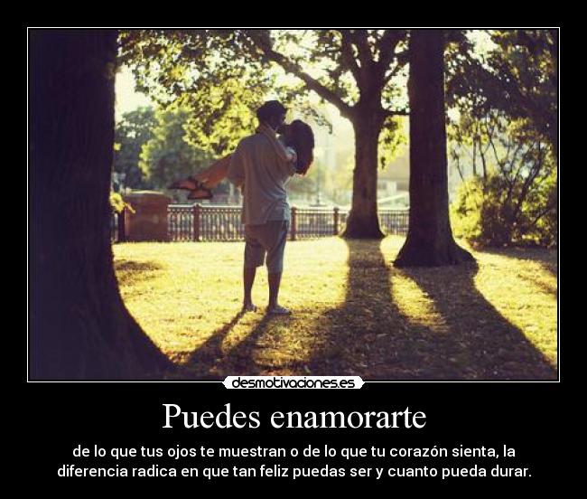 carteles puedes enamorarte asdadsssddas ojala llegues principal desmotivaciones