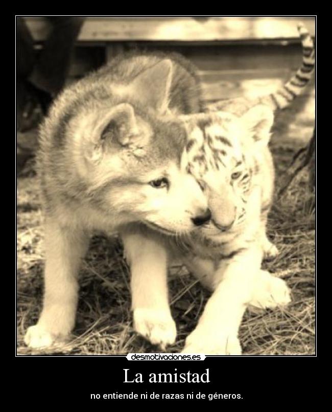 La amistad -
