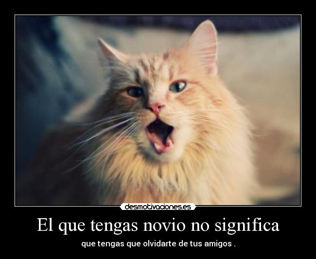 El que tengas novio no significa - que tengas que olvidarte de tus amigos .