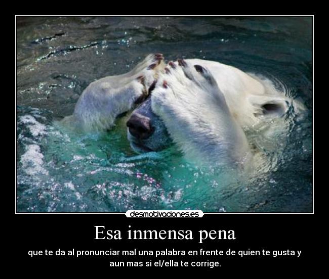 Esa inmensa pena - que te da al pronunciar mal una palabra en frente de quien te gusta y
aun mas si el/ella te corrige.