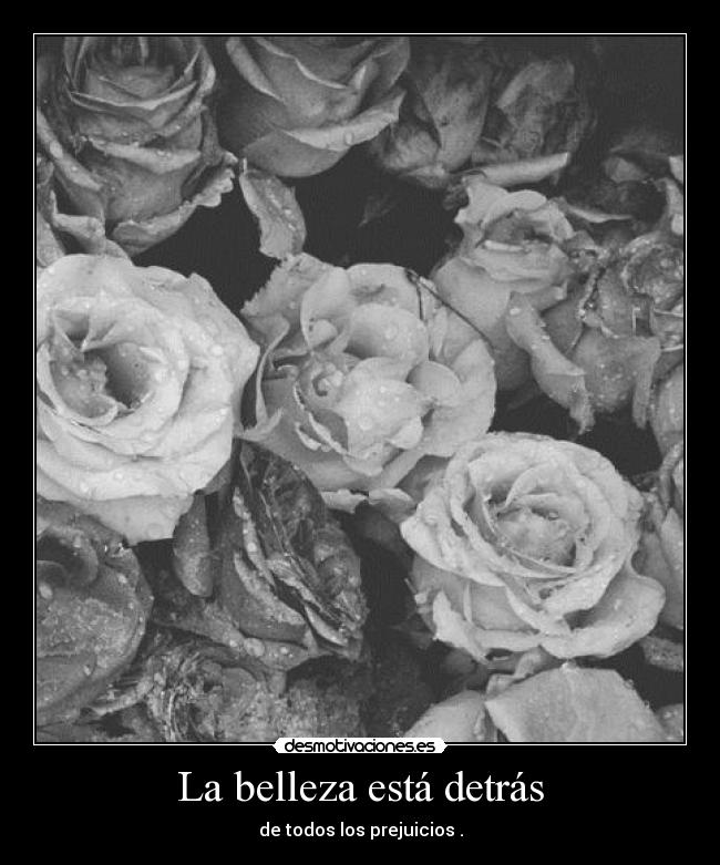 La belleza está detrás - de todos los prejuicios .