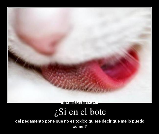 carteles nometientes intruders gilipolleces varias que pienso borrar epuntoe desmotivaciones