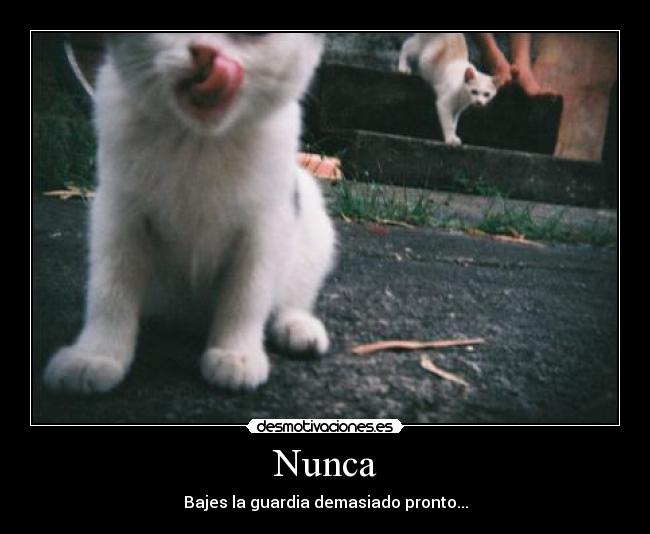 Nunca - Bajes la guardia demasiado pronto...