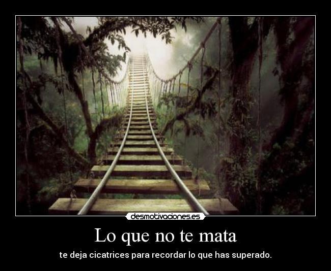 Lo que no te mata - 
