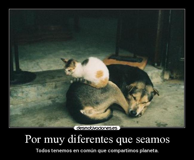 Por muy diferentes que seamos - 