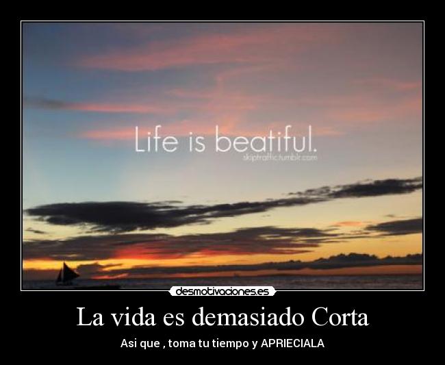 La vida es demasiado Corta -