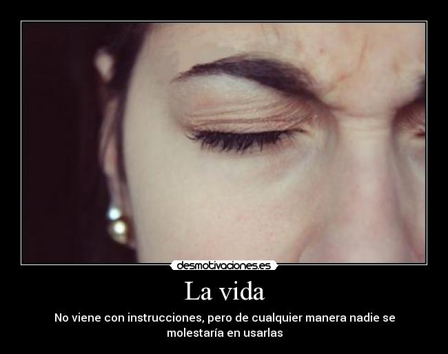 La vida - No viene con instrucciones, pero de cualquier manera nadie se molestaría en usarlas