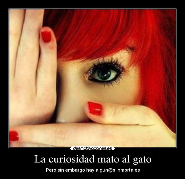 La curiosidad mato al gato - 