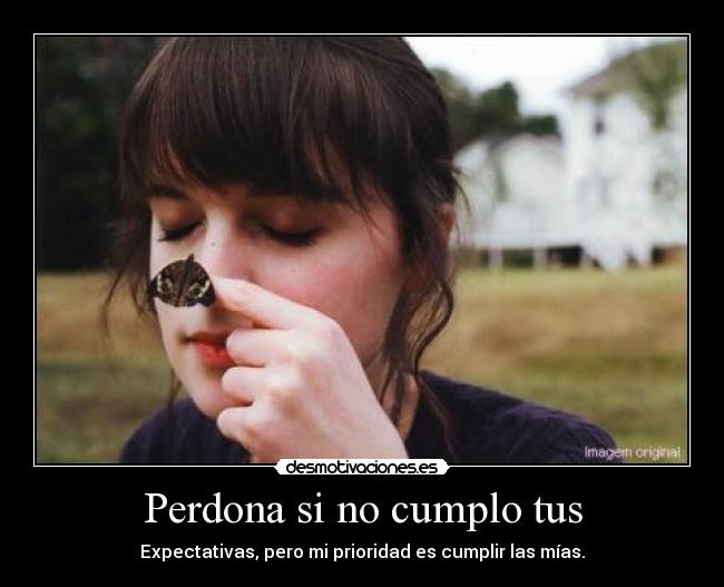 Perdona si no cumplo tus - 