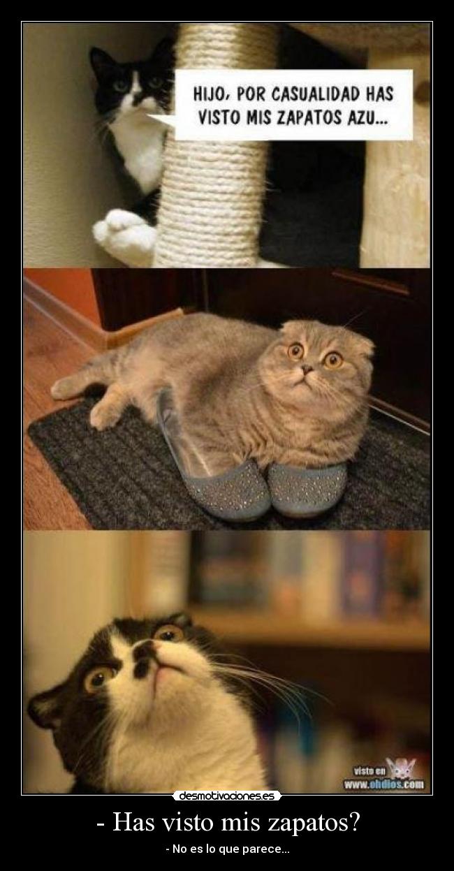 - Has visto mis zapatos? - - No es lo que parece...