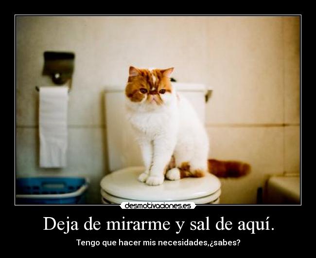 Deja de mirarme y sal de aquí. - 