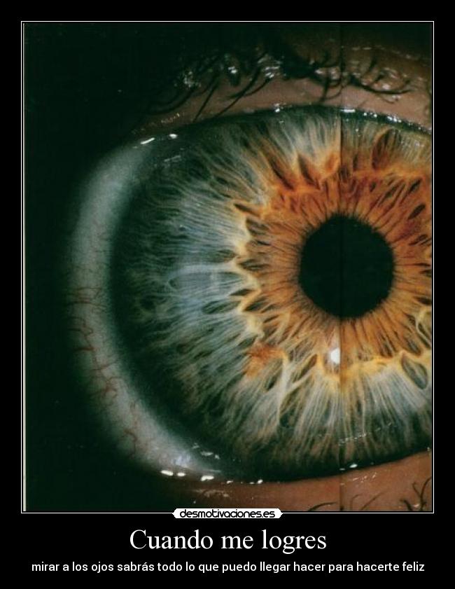 Cuando me logres - mirar a los ojos sabrás todo lo que puedo llegar hacer para hacerte feliz