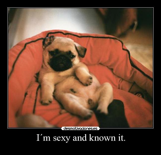 I´m sexy and known it. - 