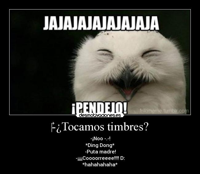 -¿Tocamos timbres? - -¡Noo -.-!
*Ding Dong*
-Puta madre!
-¡¡¡¡Coooorreeee!!!! D:
*hahahahaha*